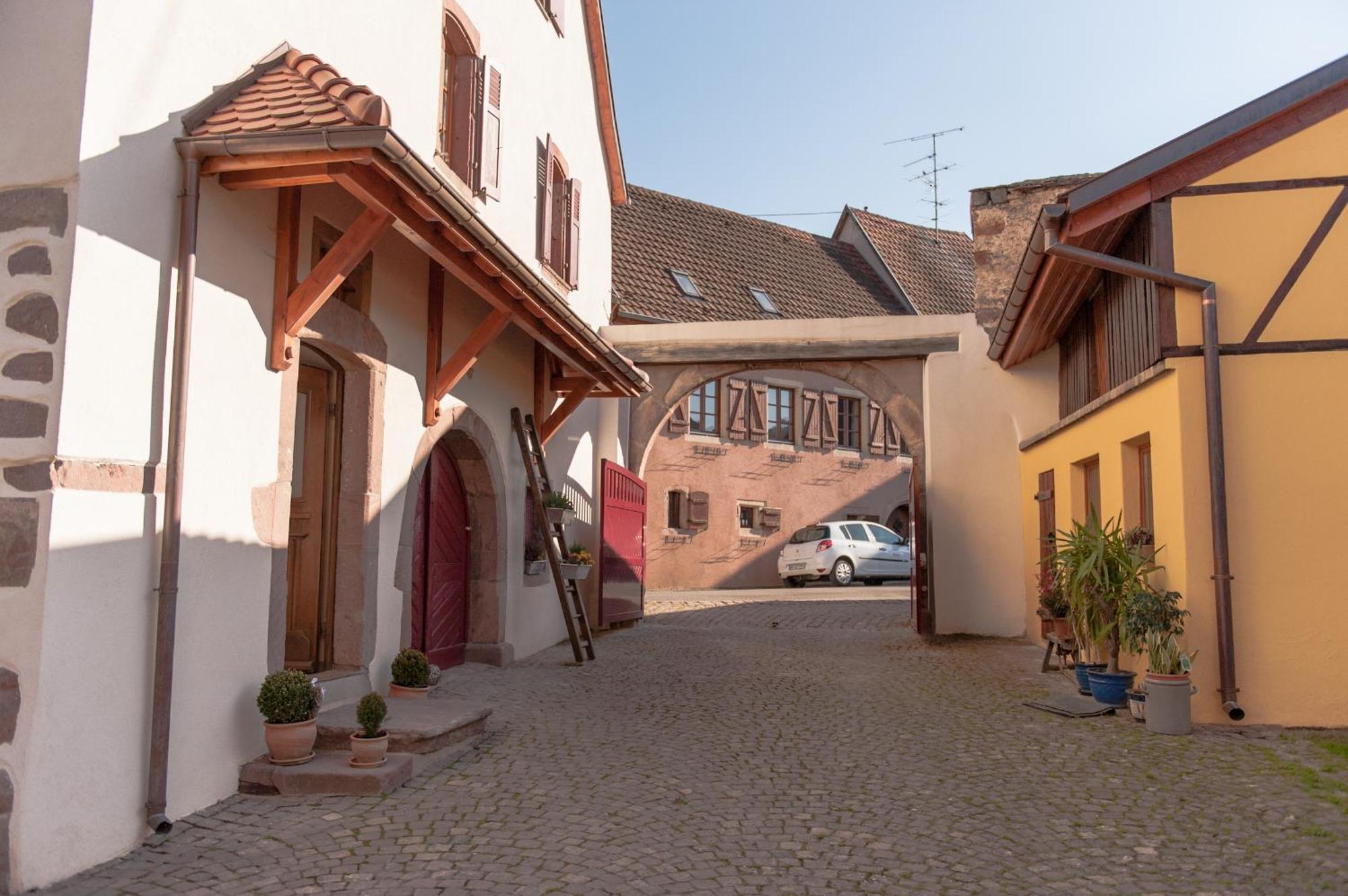 La Maison D'Emilie Pfaffenheim Экстерьер фото